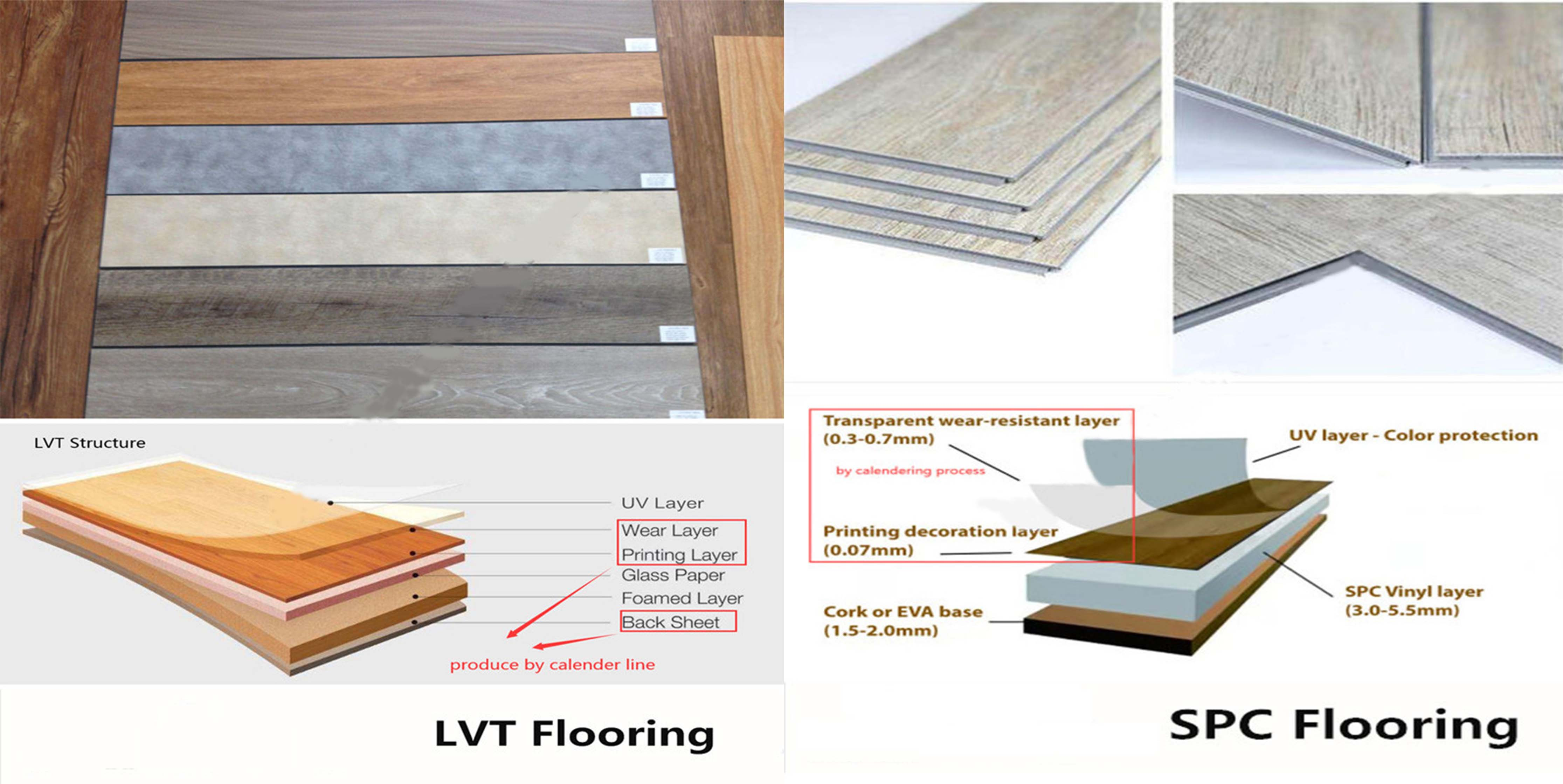 微信图片_20260128092226_5_2 微信图片_20260128092226_5_2